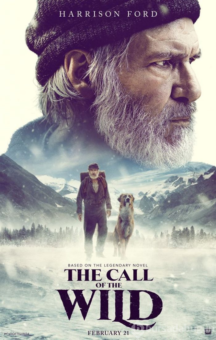Vahşetin Çağrısı (The Call Wild) 2020 Türkçe Altyazılı
