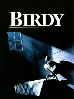 Birdy -Seyret